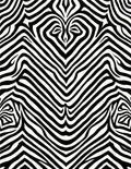 Bold Black White Zebra Stripe Pattern Rug