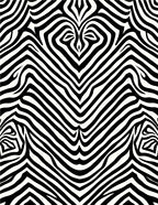 Bold Black White Zebra Stripe Pattern Rug