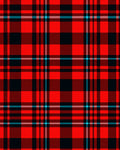 Bold Red Black Plaid Pattern Rug