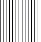 Classic Black White Stripe Pattern Rug