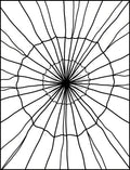 Radial Web Design Rug