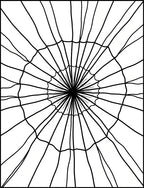 Radial Web Design Rug