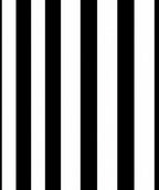 Bold Black White Stripe Pattern Rug