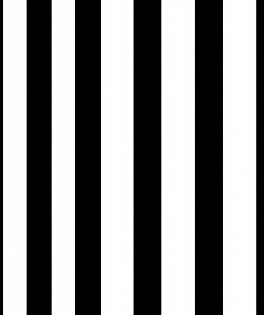 Bold Black White Stripe Pattern Rug