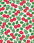 Red Elongated Floral Pattern Rug
