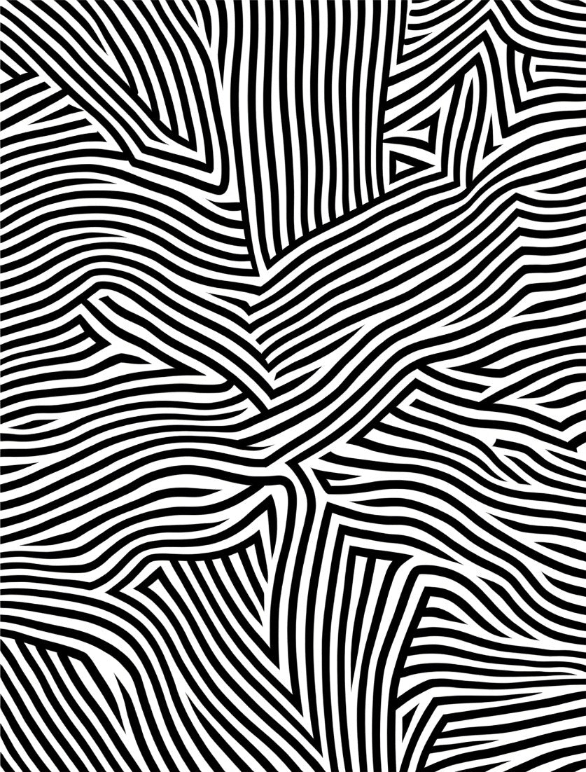 Graphic Black White Abstract Stripes Design Rug