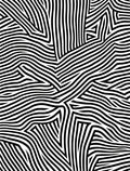 Graphic Black White Abstract Stripes Design Rug