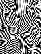 Graphic Black White Abstract Stripes Design Rug