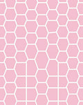 Pink Hexagon Geometric Pattern Rug