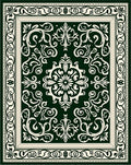 Elegant Traditional Floral Scroll Pattern Rug