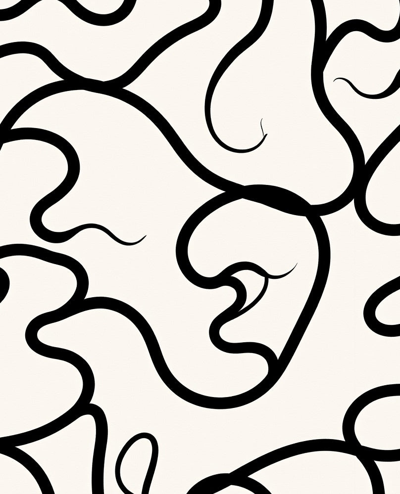 Organic Black White Swirl Pattern Rug