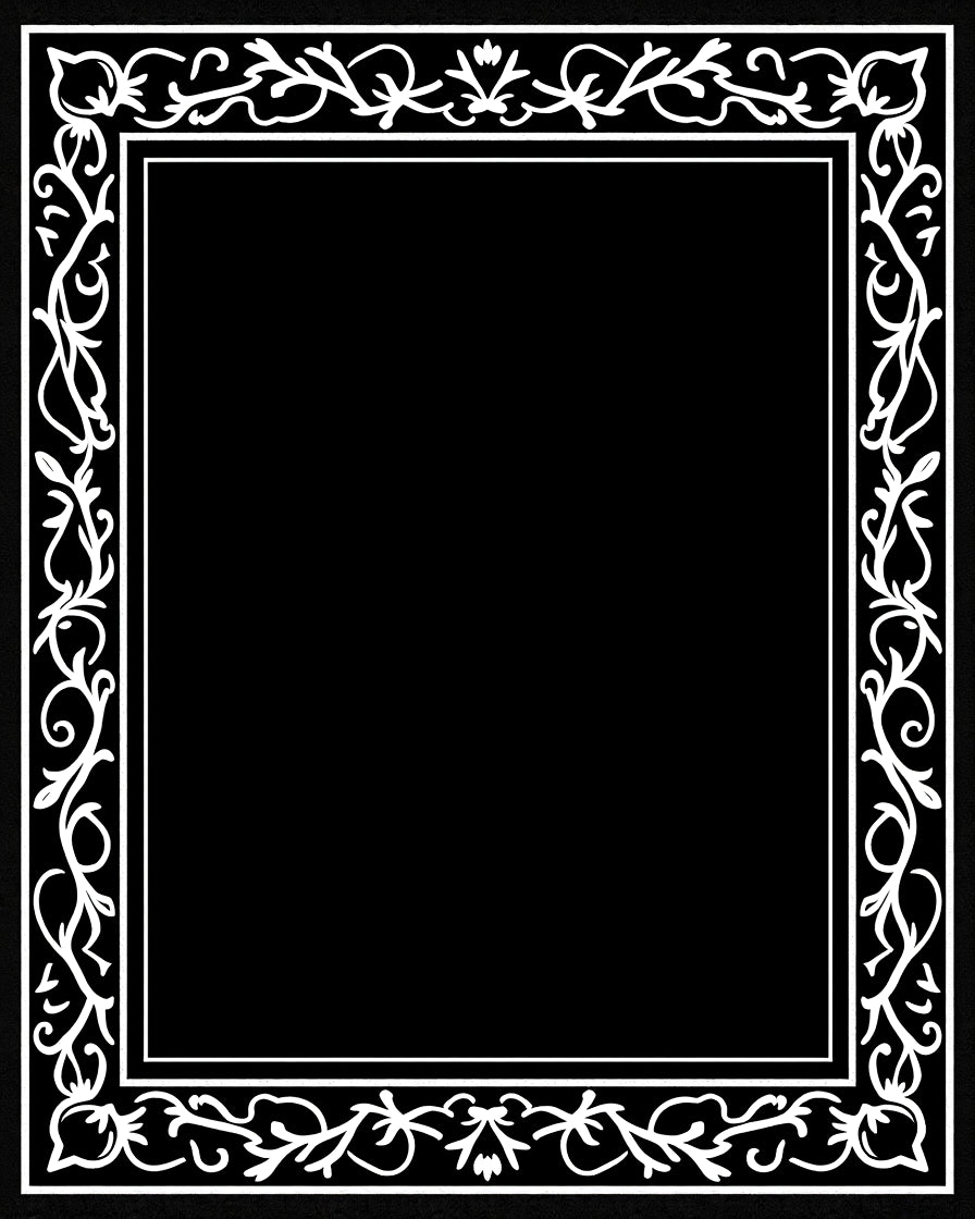 Black White Scrollwork Floral Border Rug