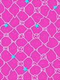 Pink Mesh With Aqua Stars Design Rug