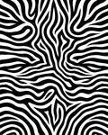 Wild Animal Print Stripes Rug