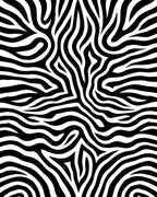 Wild Animal Print Stripes Rug