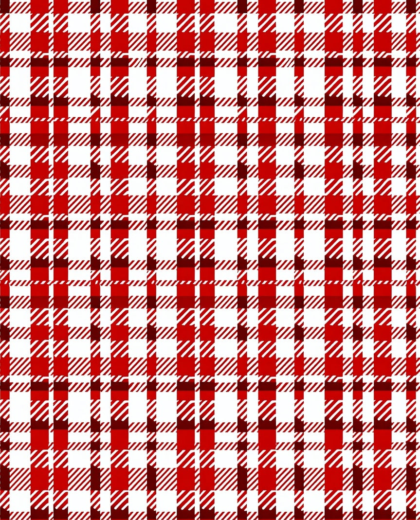 Classic Red White Plaid Pattern Rug