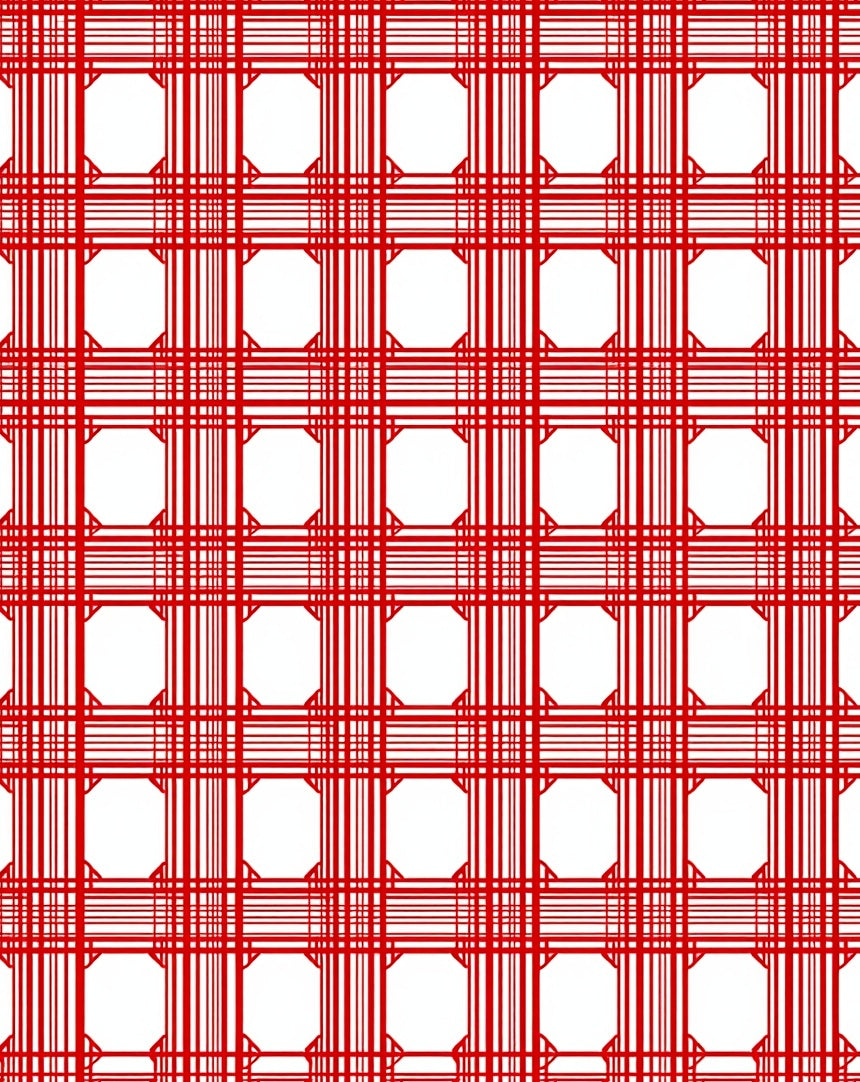 Symmetric Red Line Pattern Rug