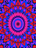 Bold Psychedelic Floral Medallion Design Rug