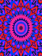 Bold Psychedelic Floral Medallion Design Rug