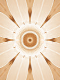 Radial Petal Geometric Pattern Rug