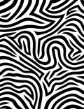 Bold Abstract Zebra Stripe Pattern Rug