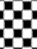 Modern Checkerboard Contrast Design Rug