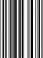 Monochromatic Vertical Striped Classic Rug