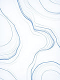 Abstract Blue Wavy Lines Rug