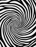Abstract Swirl Black White Rug