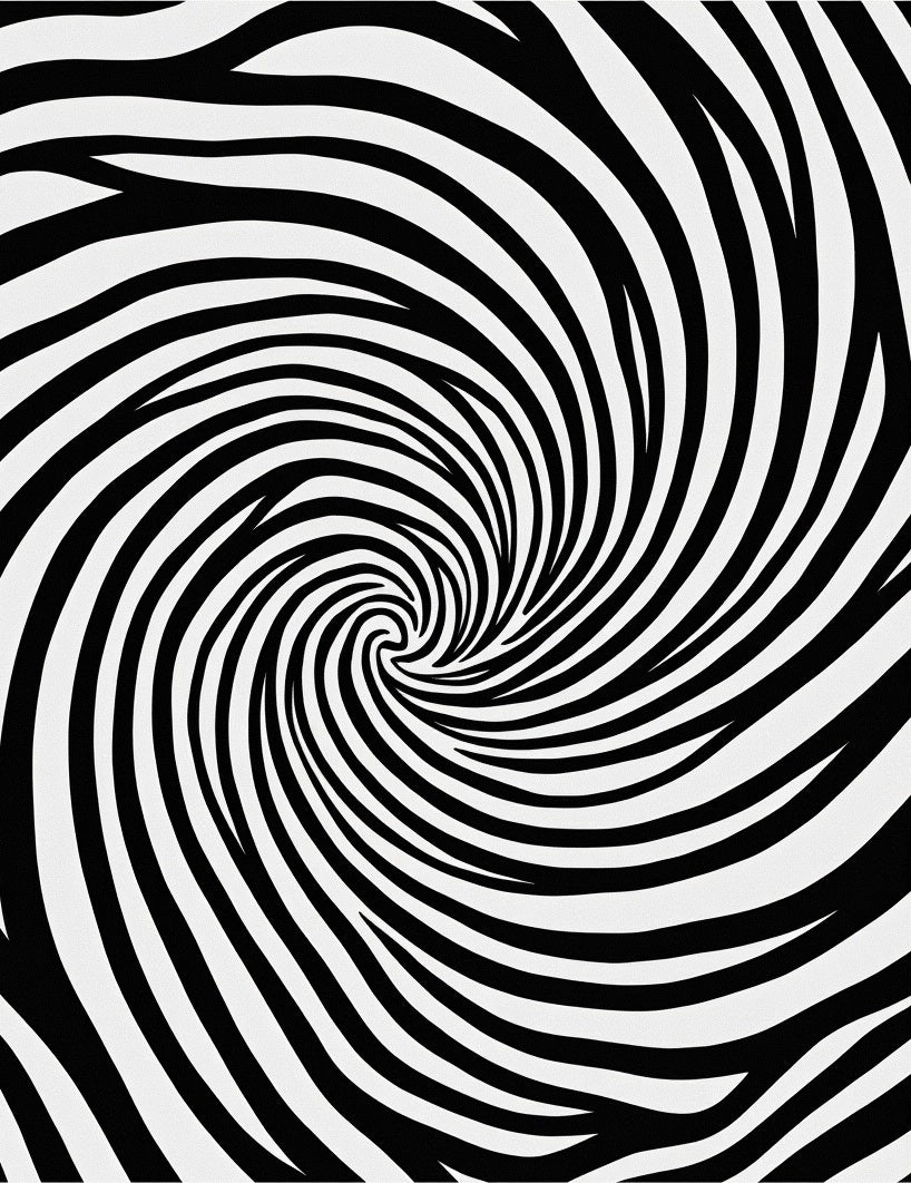 Abstract Swirl Black White Rug
