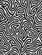 Bold Abstract Zebra Stripe Pattern Rug