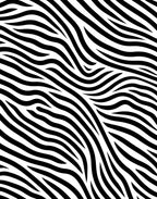 Bold Black White Stripe Pattern Rug