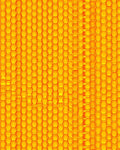 Golden Honeycomb Textured Geometric Design Rug