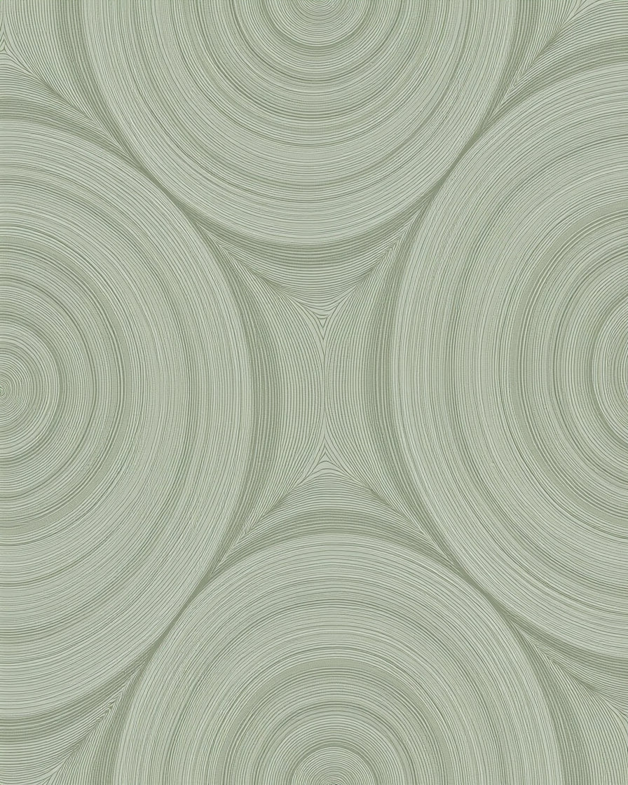 Modern Abstract Concentric Circles Rug