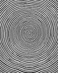 Concentric Black And White Circles Pattern Rug