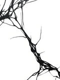 Abstract Black Organic Line Art Rug