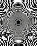 Concentric Black White Optical Rug