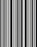 Bold Black White Stripe Pattern Rug