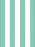 Mint Green White Stripe Pattern Rug
