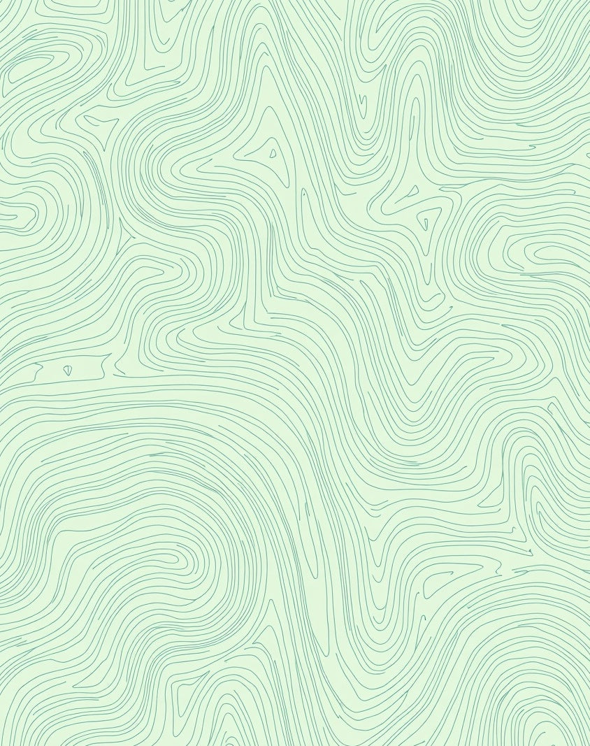 Calm Mint Contour Line Abstract Rug