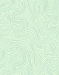 Calm Mint Contour Line Abstract Rug