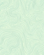Calm Mint Contour Line Abstract Rug