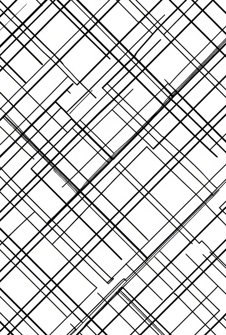 Black White Linear Geometric Design Rug