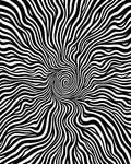 Black White Swirling Organic Pattern Rug