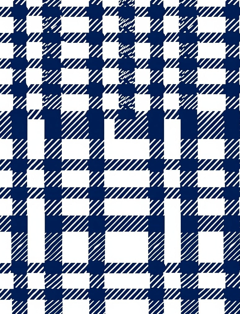 Classic Blue White Plaid Design Rug