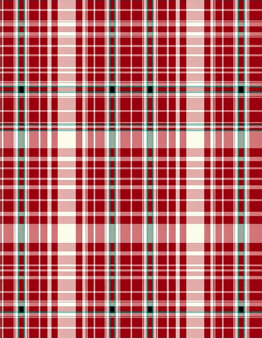 Classic Red White Plaid Pattern Rug