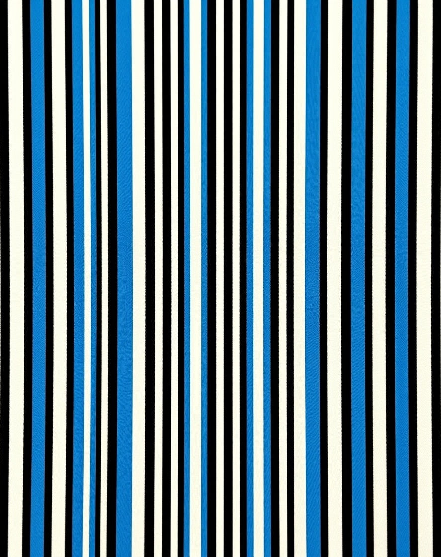 Bold Vertical Stripe Pattern Rug