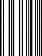 Black White Vertical Stripe Design Rug
