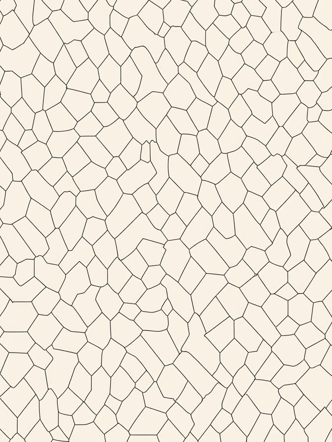 Geometric Cracked Earth Surface Design Rug