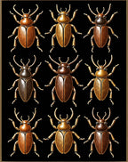 Gold Bronze Beetle Pattern Design Rug